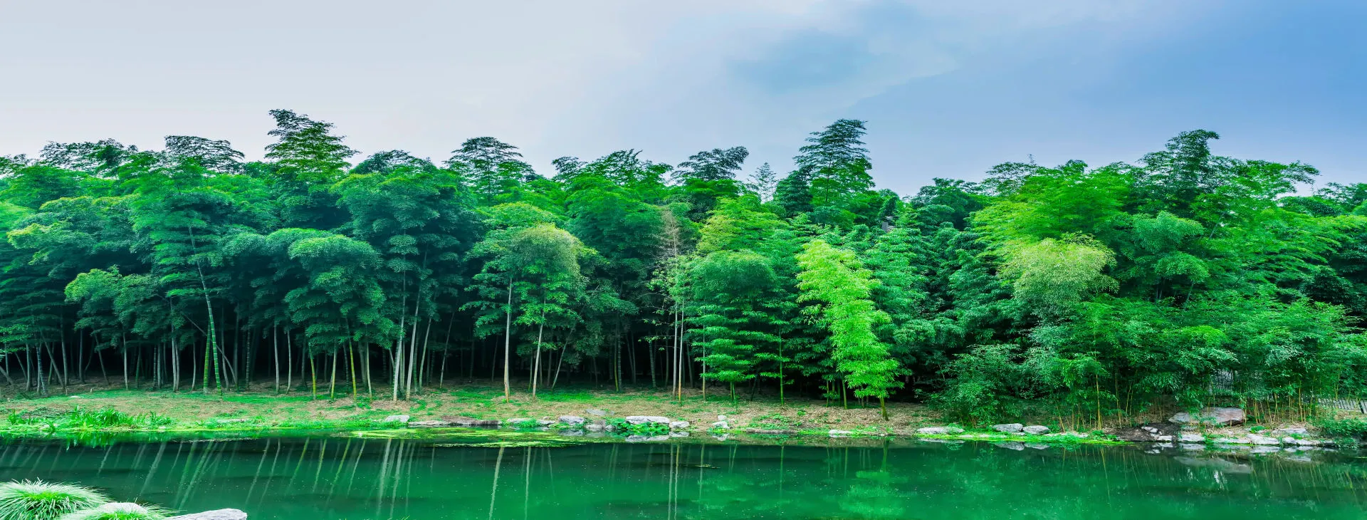 Landscaping services in Ahmedabad, Gandhinagar, Vadodara, Surat & Sanand